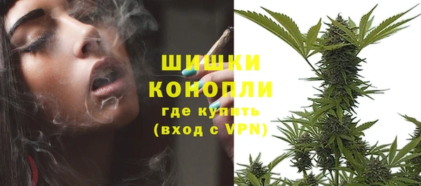 кокс Михайлов