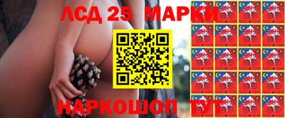 амф Донецк