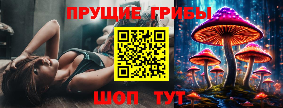 Минусинск  Псилоцибиновые грибы прущие грибы  Вход с VPN 