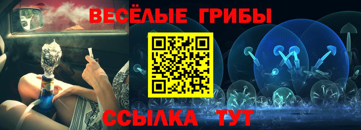 Галлюциногенные грибы GOLDEN TEACHER Минусинск
