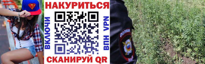 Марихуана конопля  Минусинск 